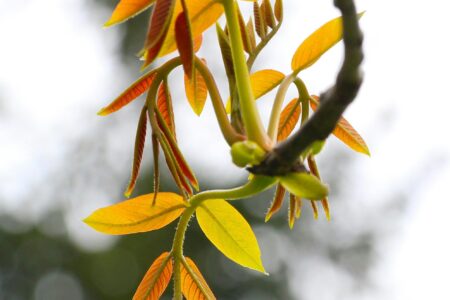 pexels-gosia-k-23254118-22820344